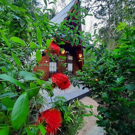 The Otunna Guest House Sigirija Zewnętrze zdjęcie