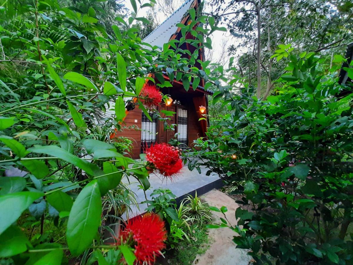The Otunna Guest House Sigirija Zewnętrze zdjęcie